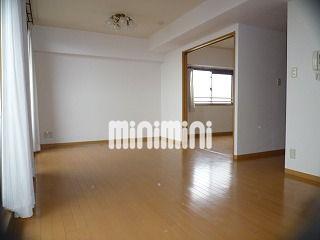 居室・リビング　南向きで明るいです