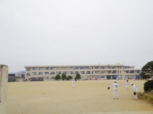 小学校　橿原市立真菅小学校（小学校）まで783m