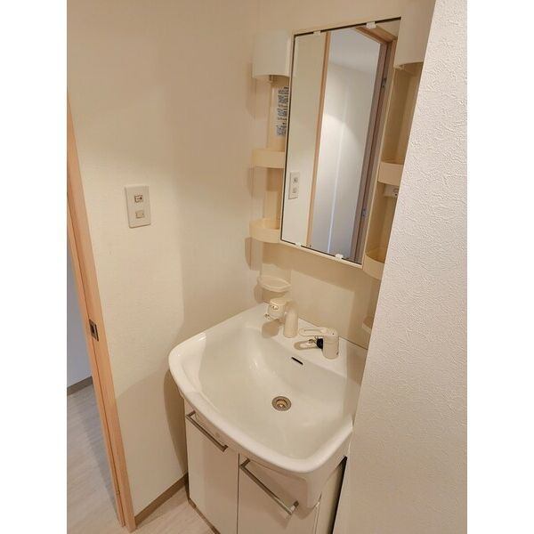 洗面設備　※写真は別号室です。