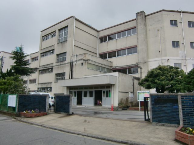 小学校　松戸市立八ケ崎小学校（小学校）まで923m