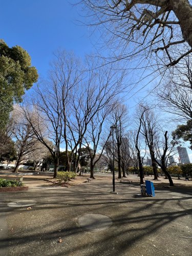 公園　青山公園(北地区)（公園）まで1331m