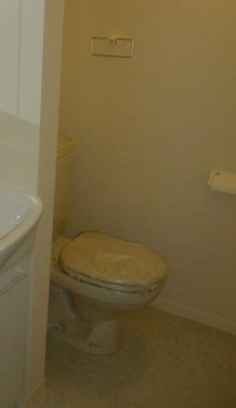 トイレ　トイレです