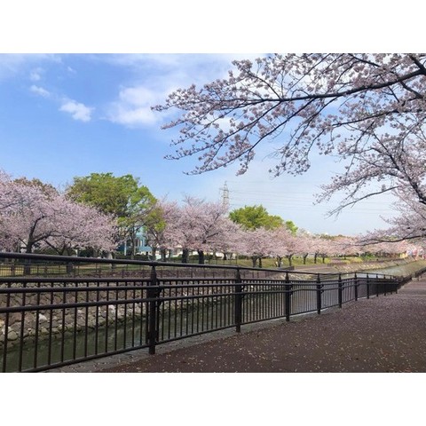 【フラワー・ヤスの公園】