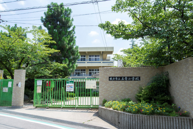 小学校　枚方市立五常小学校（小学校）まで596m