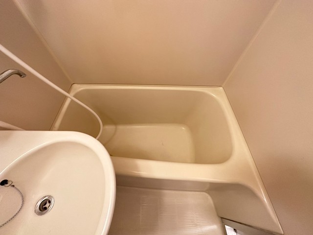 バス・シャワールーム　※他部屋の写真です。現況優先。