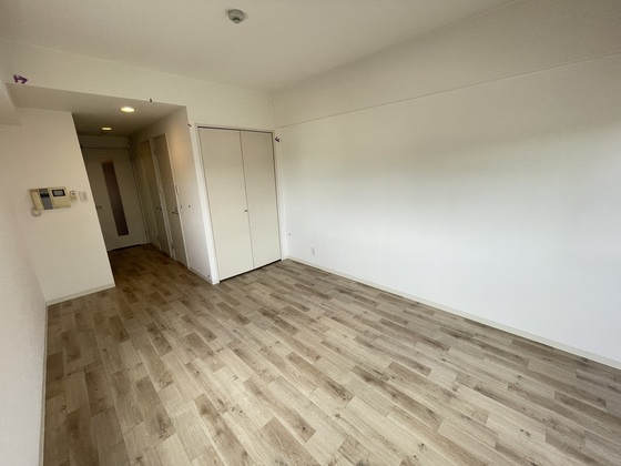 居室・リビング　※別部屋の写真です