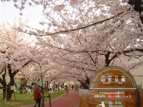 公園　山王公園（公園）まで405m
