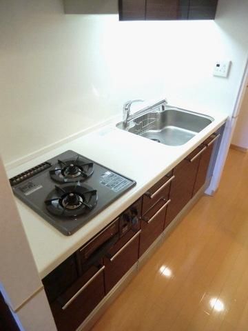 キッチン　ディスポーザー付２口システムキッチン