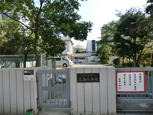 小学校　夏島小学校（小学校）まで243m