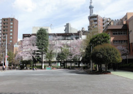 公園　台東区立花川戸公園 (南側)（公園）まで203m
