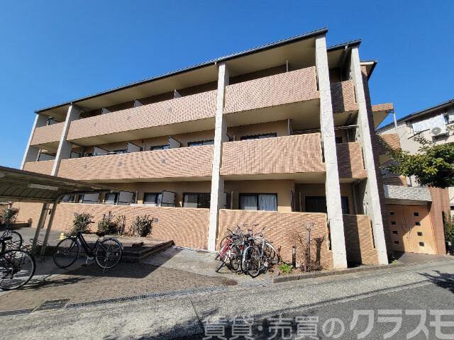 オリーブ白鷺