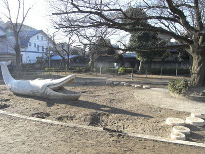 【マンション・タエの公園】