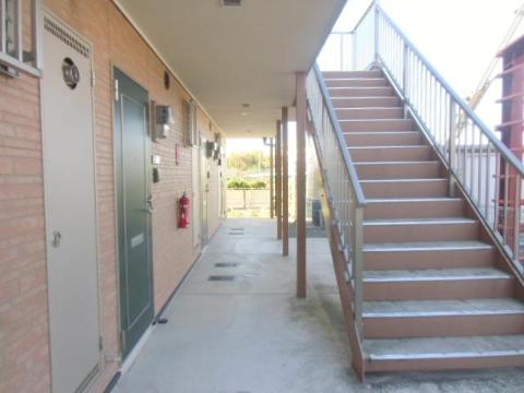 庭　庭（イメージ）