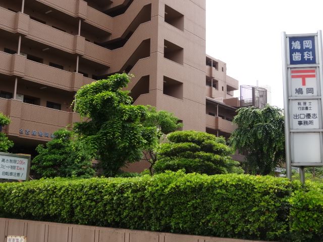 郵便局　鳩岡郵便局（郵便局）まで730m