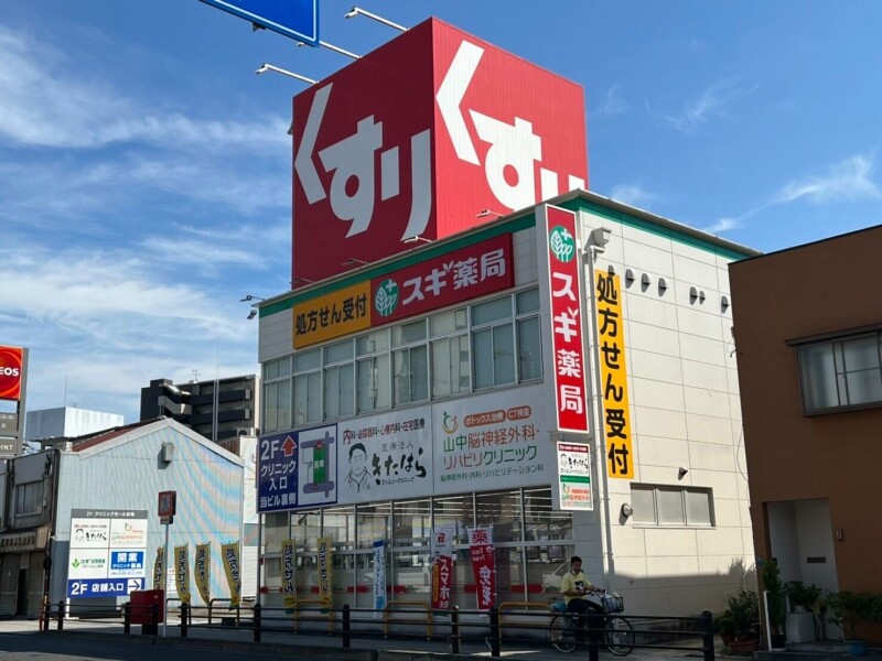 ドラックストア　スギ薬局林寺店（ドラッグストア）まで1090m