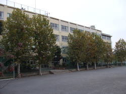 中学校　中野区立第五中学校（中学校）まで547m