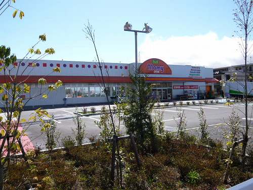 スーパー　業務スーパー＆ダイソー西沢田店（スーパー）まで343m