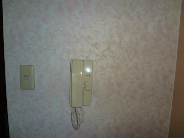 セキュリティ　シッカリ　来客も声で確認してからドアをあけよう