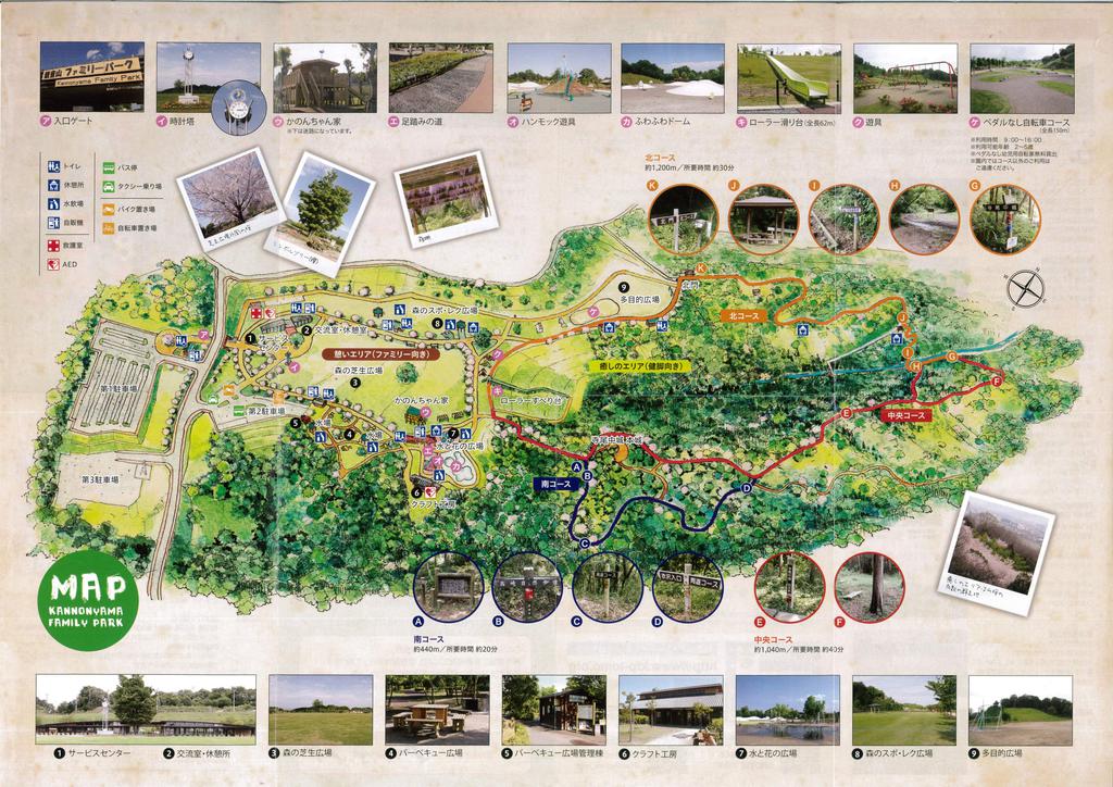 公園　観音山ファミリーパーク（車３分）（公園）まで1100m