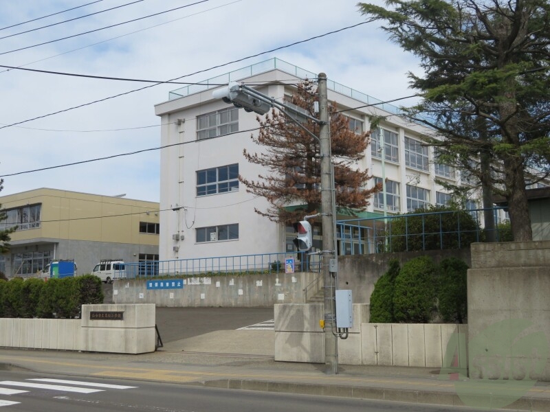 小学校　仙台市立黒松小学校（小学校）まで736m