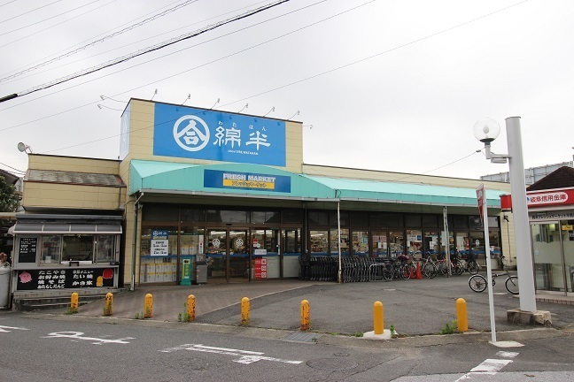 スーパー　綿半フレッシュマーケット平島店（スーパー）まで609m