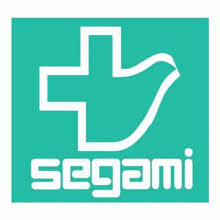 ドラックストア　ドラッグセガミ瑞光店（ドラッグストア）まで1015m