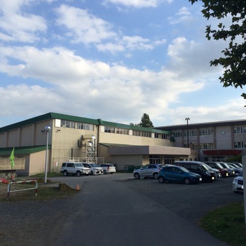 小学校　函館市立中央小学校（小学校）まで818m