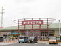 スーパー　ヨークベニマル古川南店（スーパー）まで1100m