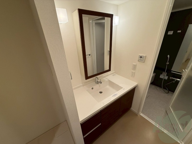 洗面設備　シャンプードレッサー。身支度はここでばっちりですね。