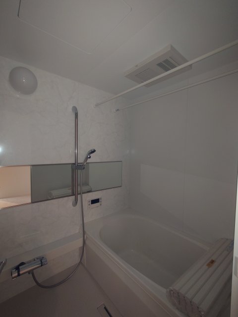 バス・シャワールーム　同物件別号室の写真です。