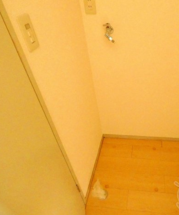 その他部屋・スペース　室内洗濯機置き場有り
