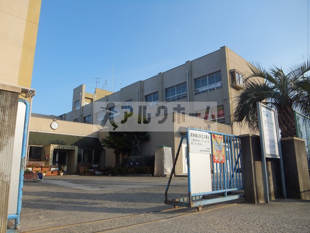 小学校　柏原市立堅下北小学校（小学校）まで491m