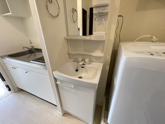 洗面設備　※別号室の写真です