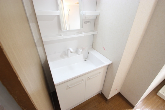 洗面設備　※別号室の写真です