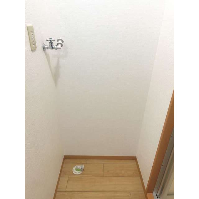 その他　洗濯機置場