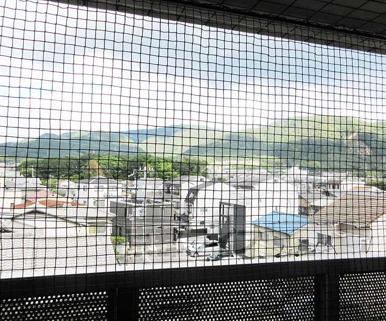 眺望　ネット付いてます