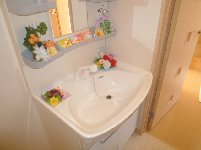 洗面設備　2012年1月撮影