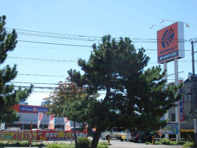 その他　オートバックス（その他）まで244m