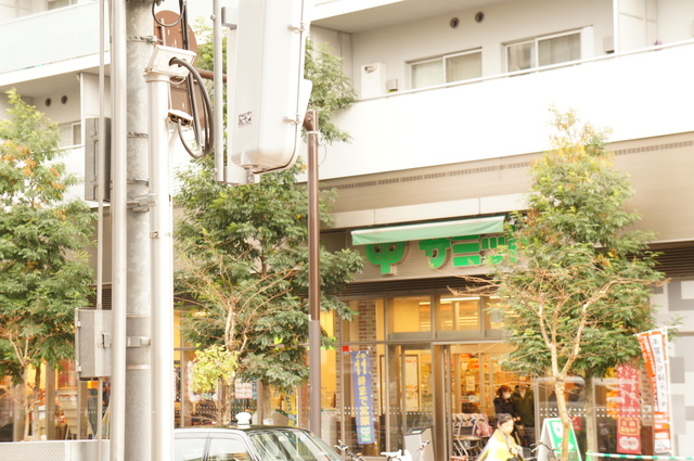 スーパー　サミットストア渋谷本町店（スーパー）まで753m