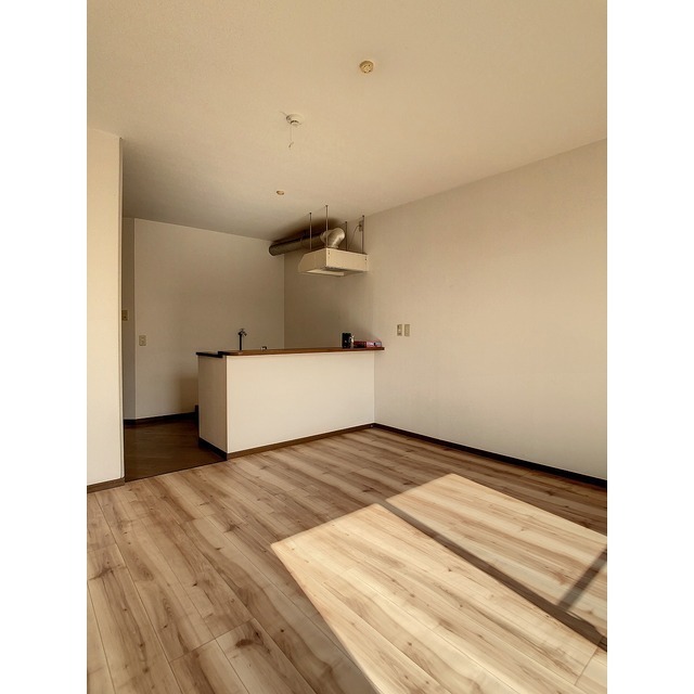 居室・リビング　カウンターキッチンの明るいお部屋