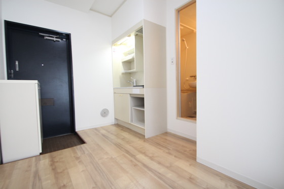 玄関　※別号室の写真になります。