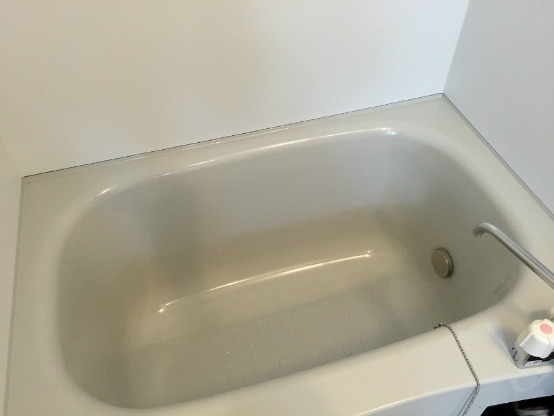 バス・シャワールーム　301号室の写真です