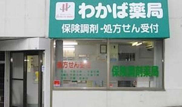 ドラックストア　わかば薬局（ドラッグストア）まで242m