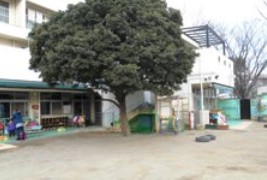 幼稚園・保育園　久我山東保育園（幼稚園・保育園）まで1101m