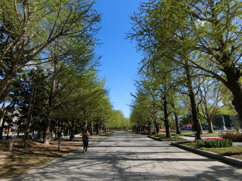 公園　中島公園（公園）まで100m