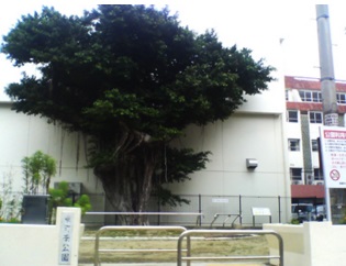 公園　東町南公園（公園）まで115m