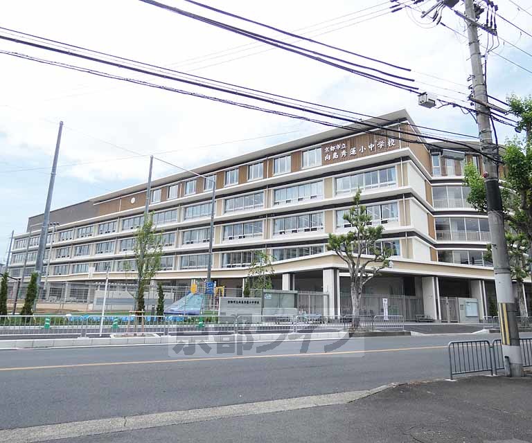 中学校　京都市立向島秀蓮小中学校（中学校）まで192m