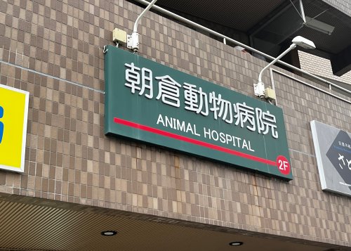 病院　朝倉動物病院（病院）まで1506m