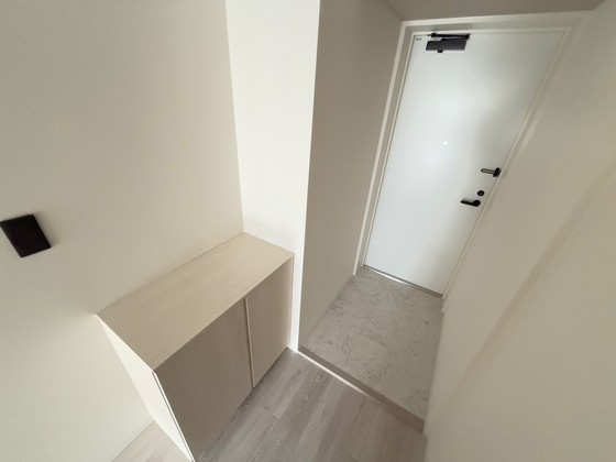 玄関　※別部屋の写真です