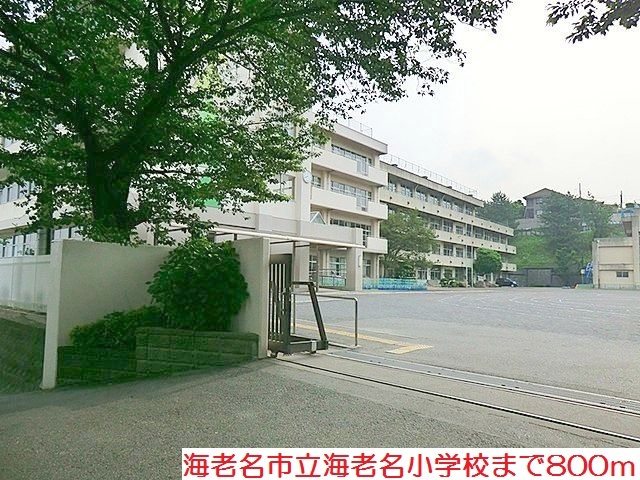 小学校　海老名小学校（小学校）まで800m